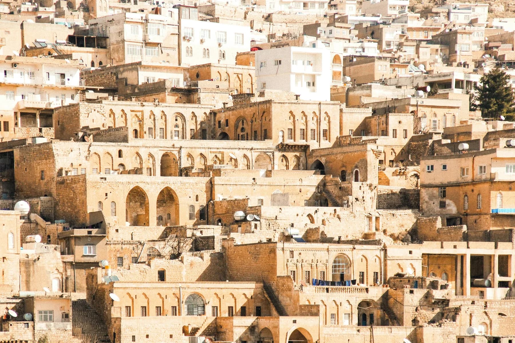 Mesopotamia Highlights